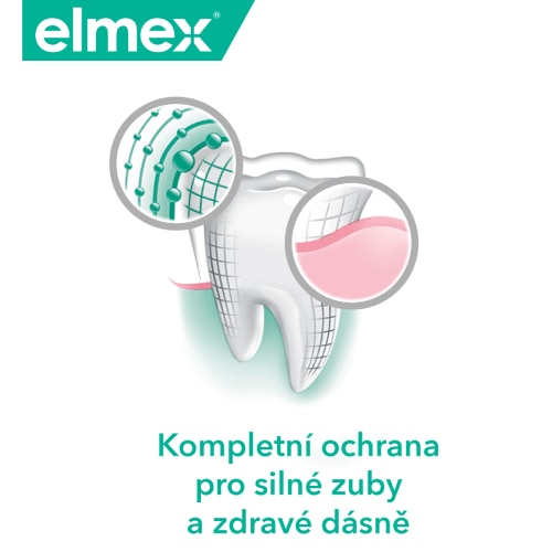 Kompletní ochrana zubů a dásní se zvětšenými detaily bakterií na zubním povrchu a pod dásní.