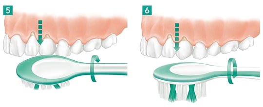 Ilustrace správné techniky čištění zubů kartáčkem.