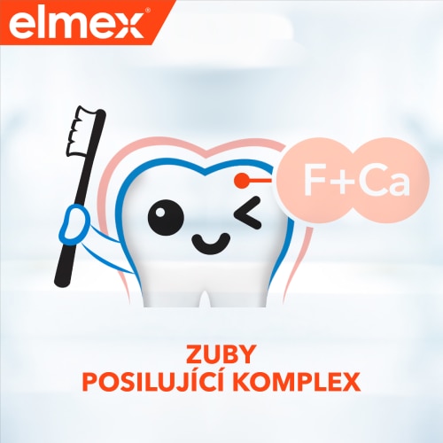 Ilustrace zubu s popisem zuby posilující komplex