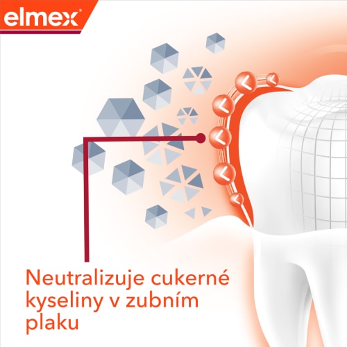 Ilustrace zubu s popisem: Neutralizuje cukerné kyseliny v zubním plaku